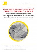 Valutazione della collaudabilità delle strutture in c.a. e c.a.p. 