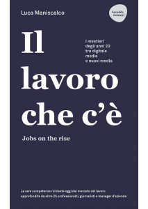 Il lavoro che c'è - Jobs on the rise