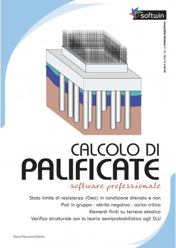 Calcolo di palificate - Software...