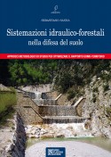 Sistemazioni idraulico-forestali nella difesa del suolo