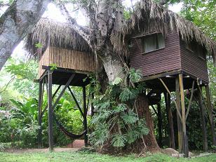 casa sull'albero in messico