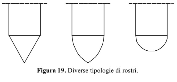 diverse-tipologie-di-rostri