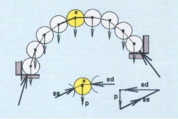 modello-ideale-di-arco