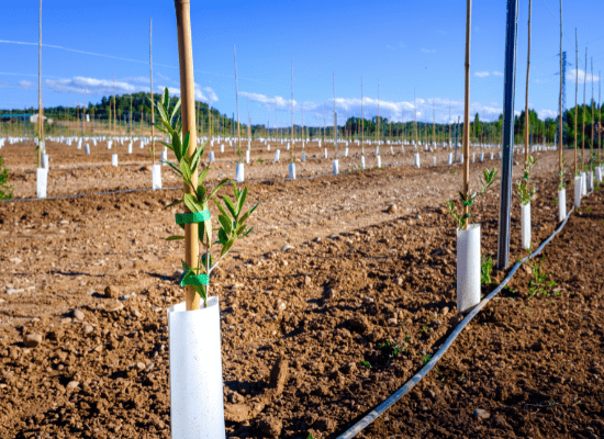 Tubo Irrigazione A Goccia 100 | Confronta Prezzi
